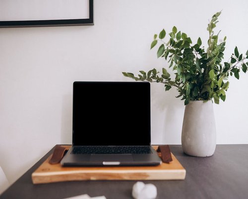 A clean laptop safely shut closed on a minimal desk with a nearby small green indoor house plant